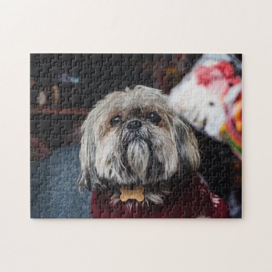 Puzzle Cute lhasa apso puppy at (Horizontal)