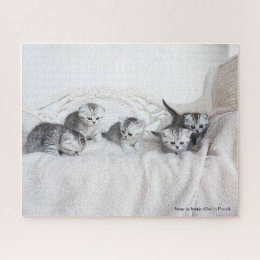Puzzle Cute Little Kittens (Horizontal)