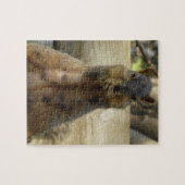 Puzzle Cute Mama écureuil manger des noix (Horizontal)