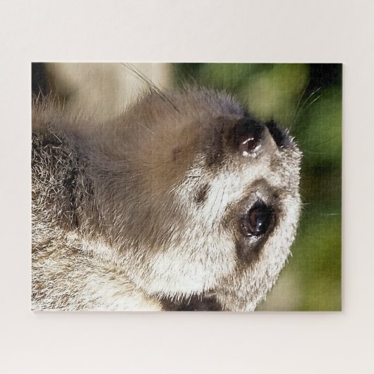PUZZLE CUTE MEERKAT (Horizontal)