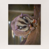 Puzzle Cute Pet Sugar Glider Eating (Vertical)