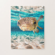 Cute Puffer Fish Ocean Animal Art 