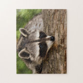 Puzzle Cute Raccoon en forêt Photo (Vertical)