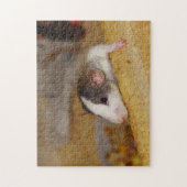 Puzzle Cute rat (Vertical)