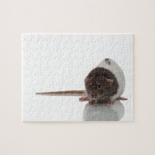 Puzzle Cute Rat sur blanc (Horizontal)
