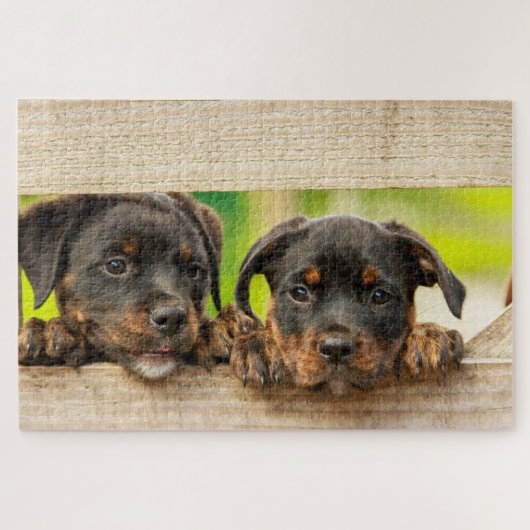 Puzzle Cute Rottweiler chiots Chien Nature animale (Horizontal)
