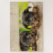 Puzzle Cute Rottweiler chiots Chien Nature animale (Vertical)