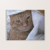Puzzle Cutesse Tabby Orange (Horizontal)