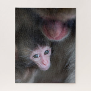 Puzzle Cutest Baby Animals Baby Macaque Monkey & Mother