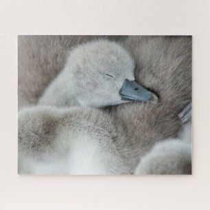 Puzzle Cutest Baby Animals Baby Mute Swan
