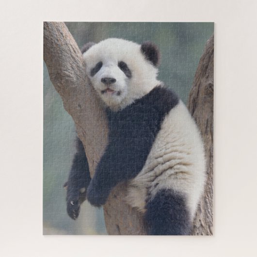 Puzzle Cutest Baby Animals | Baby Panda Bear Sleeping (Vertical)
