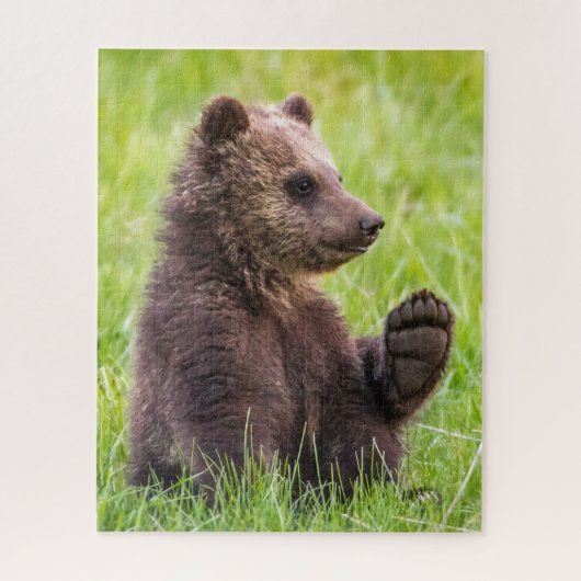 Puzzle Cutest Baby Animals | Brown Bear Cub Wave (Vertical)