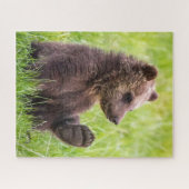 Puzzle Cutest Baby Animals | Brown Bear Cub Wave (Horizontal)