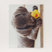 Puzzle Cutest Baby Animals | Chocolate Labrador Puppy (Vertical)