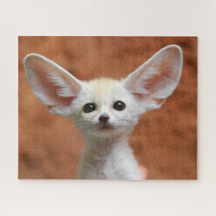 Puzzle Cutest Baby Animals   Fennec Fox Pup