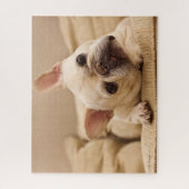 Puzzle Cutest Baby Animals | French Bulldog Head Tilt (Vertical)