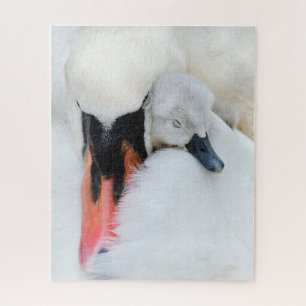 Puzzle Cutest Baby Animals   Mother & Baby Mute Swan