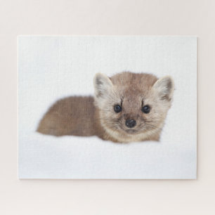 Puzzle Cutest Baby Animals   Pine Marten