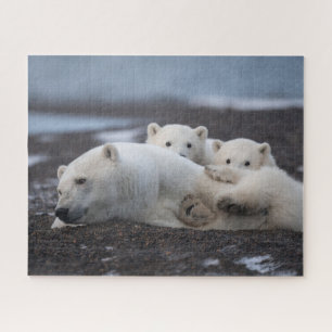 Puzzle Cutest Baby Animals   Polar Bear Family Alaska