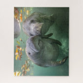 Puzzle Cutest Baby Animals | Two Manatees (Vertical)