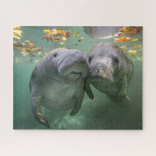 Puzzle Cutest Baby Animals   Two Manatees