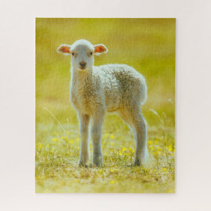 Puzzle Cutest Baby Animals Young Sheep