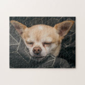 Puzzle Cutie Chihuahua (Horizontal)