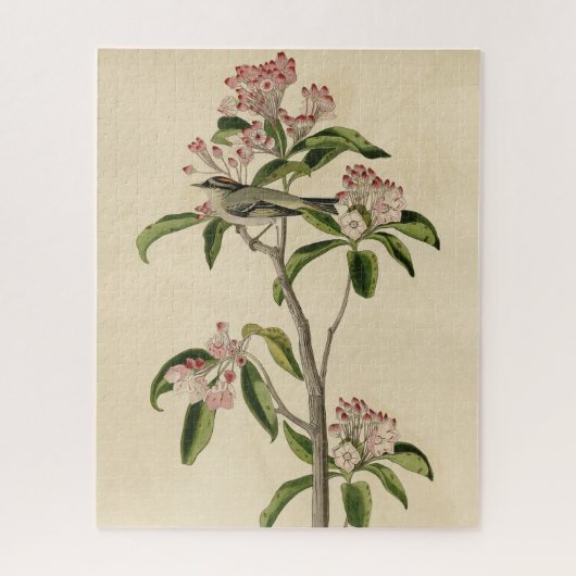 Puzzle Cuvier's Kinglet (Cuvier's Regulus) Audubon Birds (Vertical)