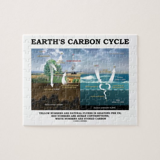 Puzzle Cycle de carbone de la terre (science de la terre) (Horizontal)