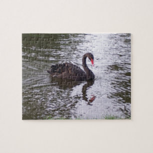 Puzzle Cygne