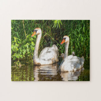Puzzle cygne