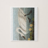 Puzzle cygne audubon cygnes d'eau blanche (Vertical)