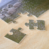 Puzzle Cygne et cygnets (Côté)