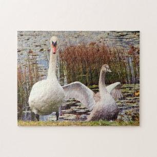 Puzzle Cygne mère et bébé Faune Mignonne
