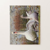 Puzzle Cygne mère et bébé Faune Mignonne (Vertical)