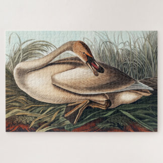 Puzzle Cygne trompette par John James Audubon