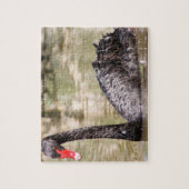 Puzzle Cygnes australiens noirs (Vertical)