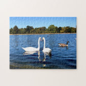 Puzzle Cygnes blancs dans Round Pond Kensington Gardens (Horizontal)
