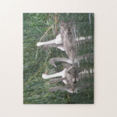 Puzzle Cygnes et Cygnets (Vertical)