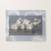 Puzzle Cygnets & Plumes (Horizontal)