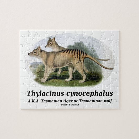 Puzzle Cynocephalus de Thylacinus (tigre ou loup (Horizontal)