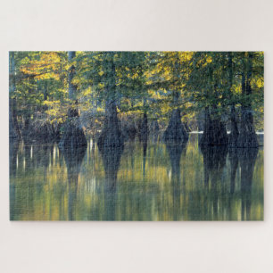 Puzzle Cyprès chauves Horseshoe Lake Illinois