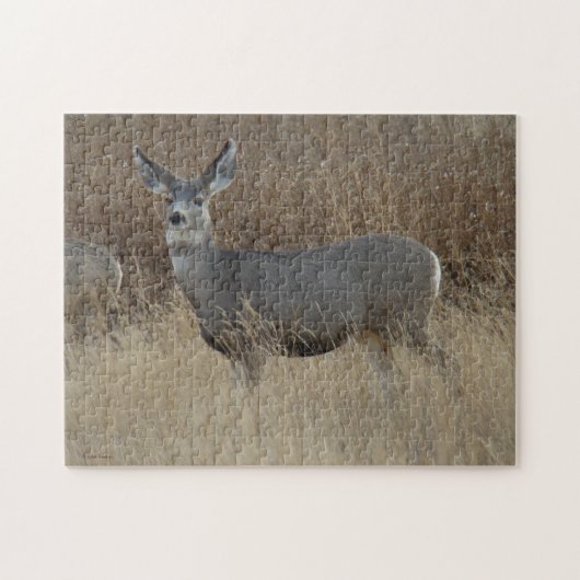 Puzzle D14 Mule Deer Doe (Horizontal)