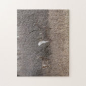 Puzzle D1 Boucles de printemps de cerfs à queue blanche (Vertical)