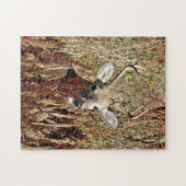 Puzzle D31 Cerf à queue blanche dans les mauvaises herbes (Horizontal)