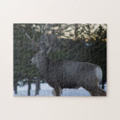 Puzzle D8 Mule Deer Buck (Horizontal)
