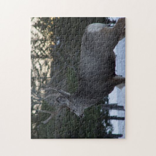 Puzzle D8 Mule Deer Buck (Vertical)