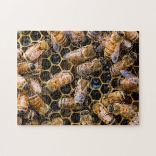 Puzzle d'abeille (Horizontal)