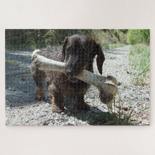 Puzzle Dachshund