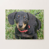 puzzle - Dachshund (Horizontal)